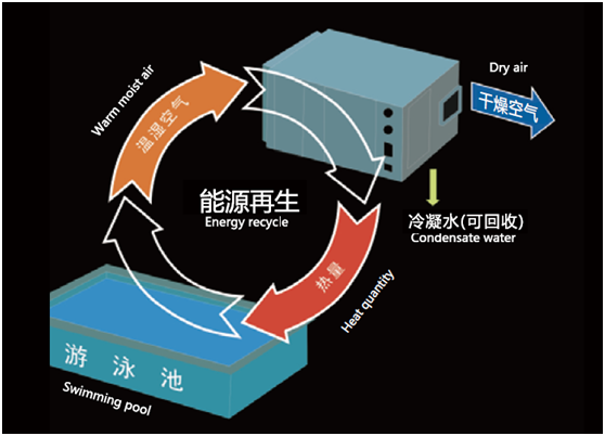 游泳馆除湿机,泳池专用热泵型除湿机泳池除湿机