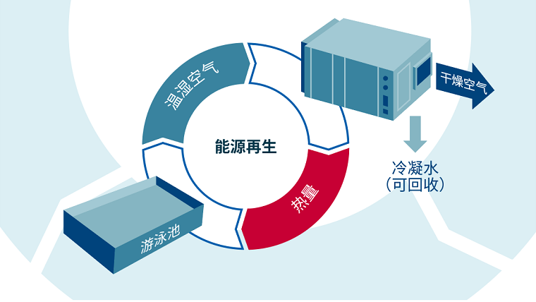 别墅泳池专用热泵型除湿机原理图